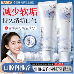 雅牙仕 雪落栀子牙膏小苏打清洁牙齿减少软垢清新口气巨留香成人口腔护理 雪落栀子香牙膏120gx2支