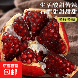 会理突尼斯软籽石榴 五斤250g+包邮