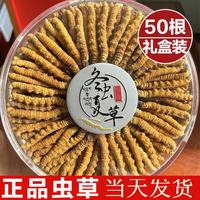 京东 冬虫夏草滋补品礼盒藏区雪域虫草2根一克干货冬虫草 50根  50根*1盒 -礼盒装
