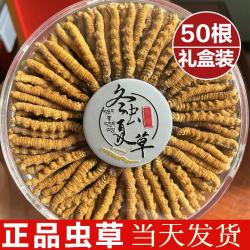 京东 冬虫夏草滋补品礼盒藏区雪域虫草2根一克干货冬虫草 50根  50根*1盒 -礼盒装