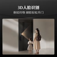 德施曼 Q2FD 3D人脸识别 全自动智能锁