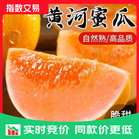 民勤蜜瓜黄皮甜瓜现摘黄金蜜瓜新鲜应季甜瓜 净果4.5斤（单果400克+）