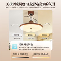 雷士 风扇灯中古风新中式奶油吊扇灯 全光谱护眼一级能效静音遥控吊灯