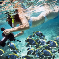 上海直飞沙巴亚庇6日/7日含税往返机票+自由行马来西亚免签旅游