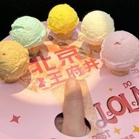 Lola意大利手工冰淇淋调色盘冰淇淋5个球