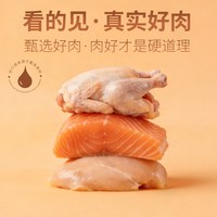 瑞小福 猫条 猫咪肉质零食
