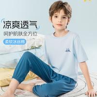 芬腾可安 男童家居服睡衣套装儿童中大童春秋季睡衣短袖长裤