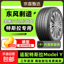 汽车轮胎255/45ZR19 104W EV静音棉 特斯拉modelY
