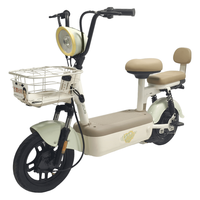 五星钻豹 48V20AH铅酸电池 新国标电动自行车 芦荟浅绿