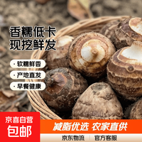 正宗农家山东牛奶芋头新鲜香芋芋艿现挖毛芋减脂低卡香糯小奶芋 牛奶小芋头带箱5斤