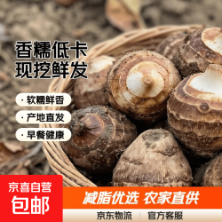 正宗农家山东牛奶芋头新鲜香芋芋艿现挖毛芋减脂低卡香糯小奶芋 牛奶小芋头带箱5斤