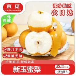 京觅 山东新玉蜜梨 净重5斤特大果 单果400g+早熟秋月梨子源头直发包邮