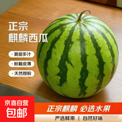 冰糖正宗麒麟西瓜新鲜应季美都整箱现摘有籽黑籽西瓜 8-10斤