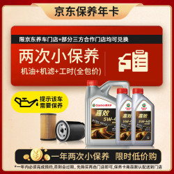 嘉实多 嘉效双次小保养卡 5W-40 SP/C3 6L 含机油+机滤+工时