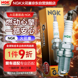 NGK 铂金火花塞94017四支装风神A30A60AX3AX4H30S30