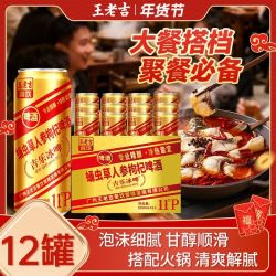 王老吉 蛹虫草人参枸杞啤酒 500ml*12罐