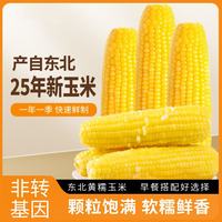 王老宝 东北黄糯玉米10支 2.2kg以上