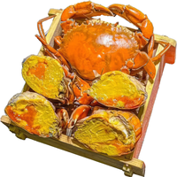 海升东 广东南沙黄油蟹 活鲜 8-9两/只 1只装