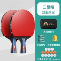 移动端：骆泰 星级乒乓球拍 PPQP001 乒乓球拍 送13个三星球+拍包+护边条