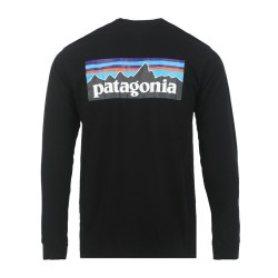 Patagonia 男士长袖T恤 38518