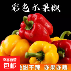 山东水果彩椒圆椒产地直发 红黄双色水果彩椒净重  3斤