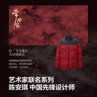波司登 奥莱艺术家联名系列羽绒服