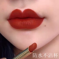 GOVO 细管不掉色不沾杯豆沙胡萝卜色口红哑光持久保湿肉桂色