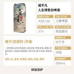 或不凡 黄河之水 浑浊双倍IPA啤酒