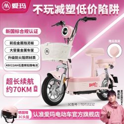 爱玛 开心果 电动车 48V22AH