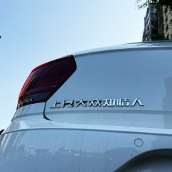 CLCEY 福斯汽车标不锈钢材定制车尾标福斯点评精选洗浴消费搞笑爆改车饰 原车电镀：知情人