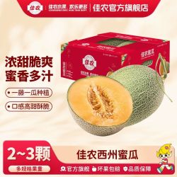 佳农 新疆西州蜜瓜 5斤 彩箱