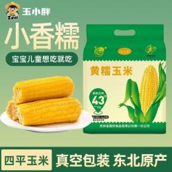 玉小胖 东北黄糯玉米8根>3.2斤 软糯甜黏苞米 真空包装低脂早餐粗粮代餐 铝箔黄糯8根1.6kg