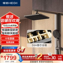 恒洁 D50 Max全铜恒温数显淋浴花洒 DMF967-234S-SH