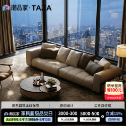 TAZA 真皮沙发客厅别墅现代轻奢直排沙发模块组合沙发可定制