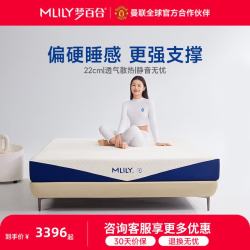 MLILY 床垫快充独袋弹簧记忆棉护脊床垫 家用双人席梦思 小蓝钻-偏硬睡感更强支撑22cm