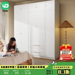 YDD 四季衣柜家用钢制衣柜卧室金属衣柜简约家用卧室2/3门组合铁皮柜 C款丨双门衣柜【80*55*2