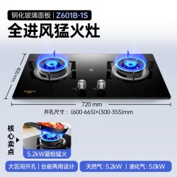 创维 燃气灶双灶家用煤气灶猛火灶具液化天然气炉灶台