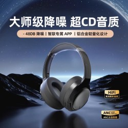 弱水时砂 rose technics 寒武纪 头戴式降噪双模耳机