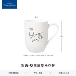 Villeroy & Boch 德国唯宝 10-1621-9651 陶瓷咖啡杯 201mL-300mL 北欧风 毕生挚爱
