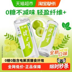 健力宝 纤维+油柑薄荷运动饮料