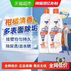 威猛先生 洁厕液500g*2 柑橘香 家用洁厕灵 瓷砖除垢