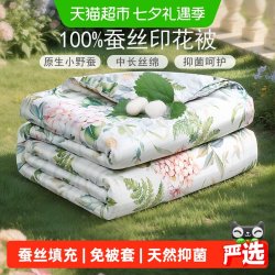 富安娜 蚕丝被 四季被 152X210CM 蓝色