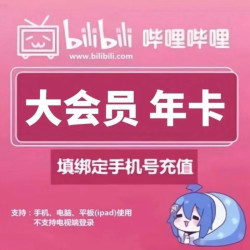 1 哔哩哔哩大会员12个月B站12个月bilibili年卡 哔哩哔哩年卡 哔哩哔哩年卡
