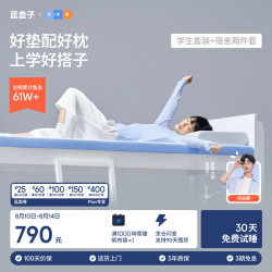 蓝盒子 小蓝垫枕头 0.9x1.9米 6cm厚