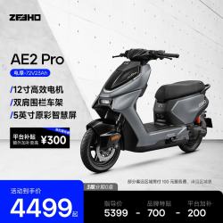 ZEEHO AE2 Pro 高性能电摩电动车 ZH1600DT-4