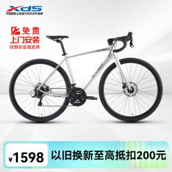 喜德盛 公路自行车RT180  440mm 14速 （京仓发货） 幻彩银/灰