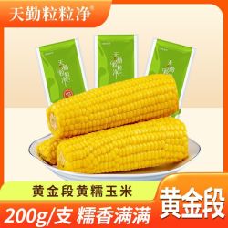 天勤粒粒净 有机黄糯玉米 真空包装 根茎类农产品