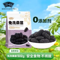 浙梅 桑葚干250g果干果脯无添加剂无蔗糖泡茶泡水新疆黑桑葚