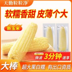 天勤粒粒净 鲜采玉米新鲜糯玉米有机真空甜糯玉米8*300g支装