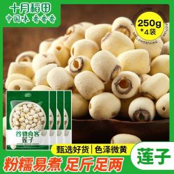 十月稻田 磨皮通芯莲子250g起1斤2斤去芯白莲银耳百合汤
